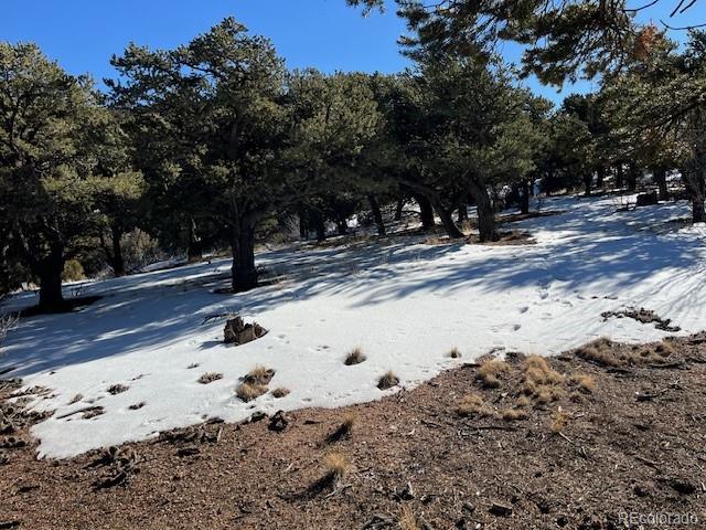 Lot 7898 Tiernan Road Fort Garland CO 81133