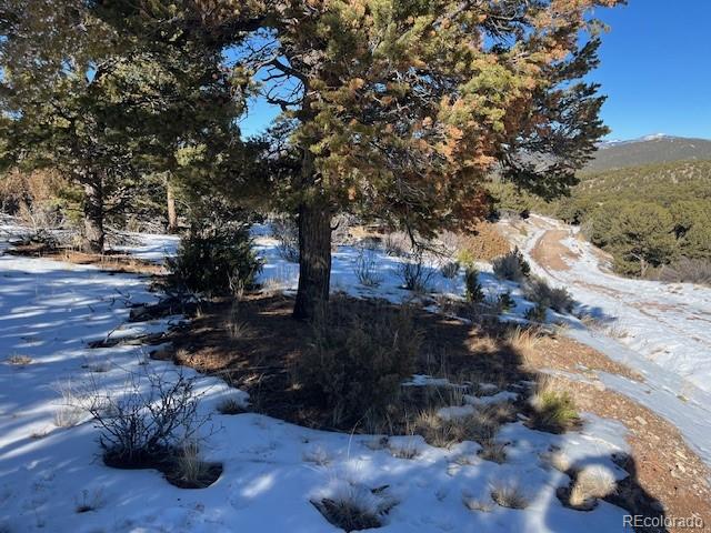 Lot 7898 Tiernan Road Fort Garland CO 81133