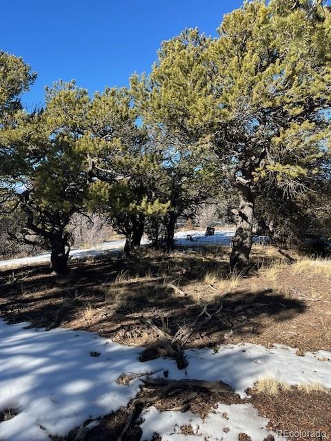 Lot 7898 Tiernan Road Fort Garland CO 81133