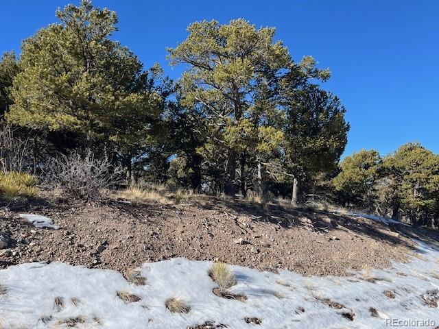 Lot 7898 Tiernan Road Fort Garland CO 81133