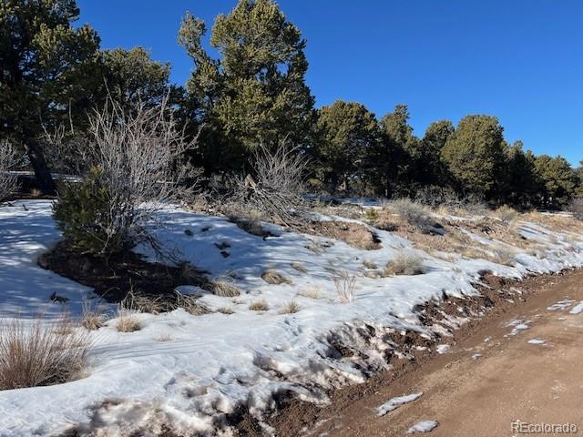 Lot 7898 Tiernan Road Fort Garland CO 81133