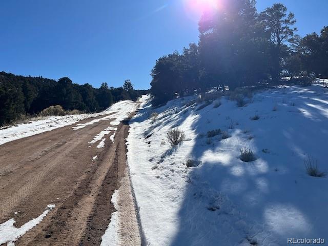 Lot 7898 Tiernan Road Fort Garland CO 81133
