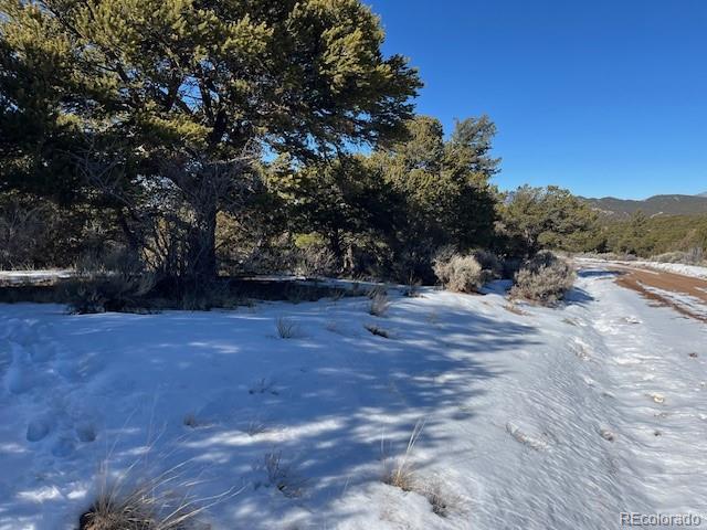 Lot 7898 Tiernan Road Fort Garland CO 81133