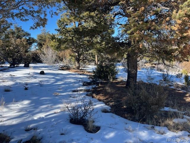 Lot 7898 Tiernan Road Fort Garland CO 81133