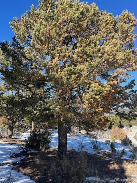 Lot 7898 Tiernan Road Fort Garland CO 81133