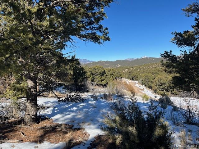 Lot 7898 Tiernan Road Fort Garland CO 81133