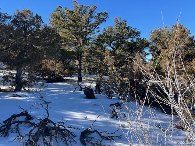Lot 7898 Tiernan Road Fort Garland CO 81133