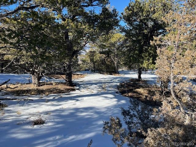 Lot 7898 Tiernan Road Fort Garland CO 81133