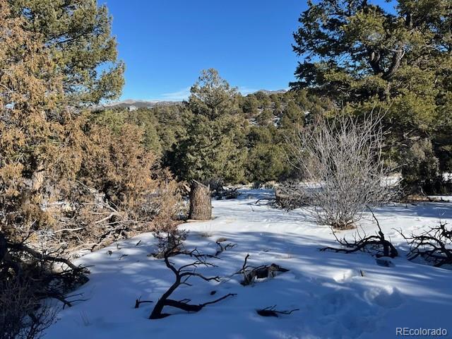 Lot 7898 Tiernan Road Fort Garland CO 81133