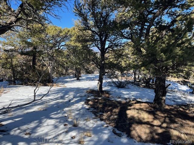 Lot 7898 Tiernan Road Fort Garland CO 81133