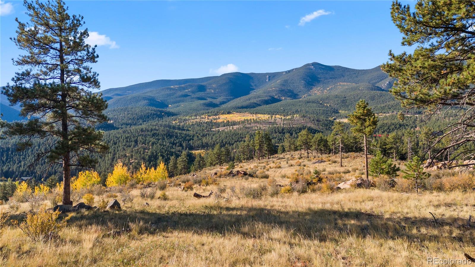 000 Highway 285 Shawnee CO 80475