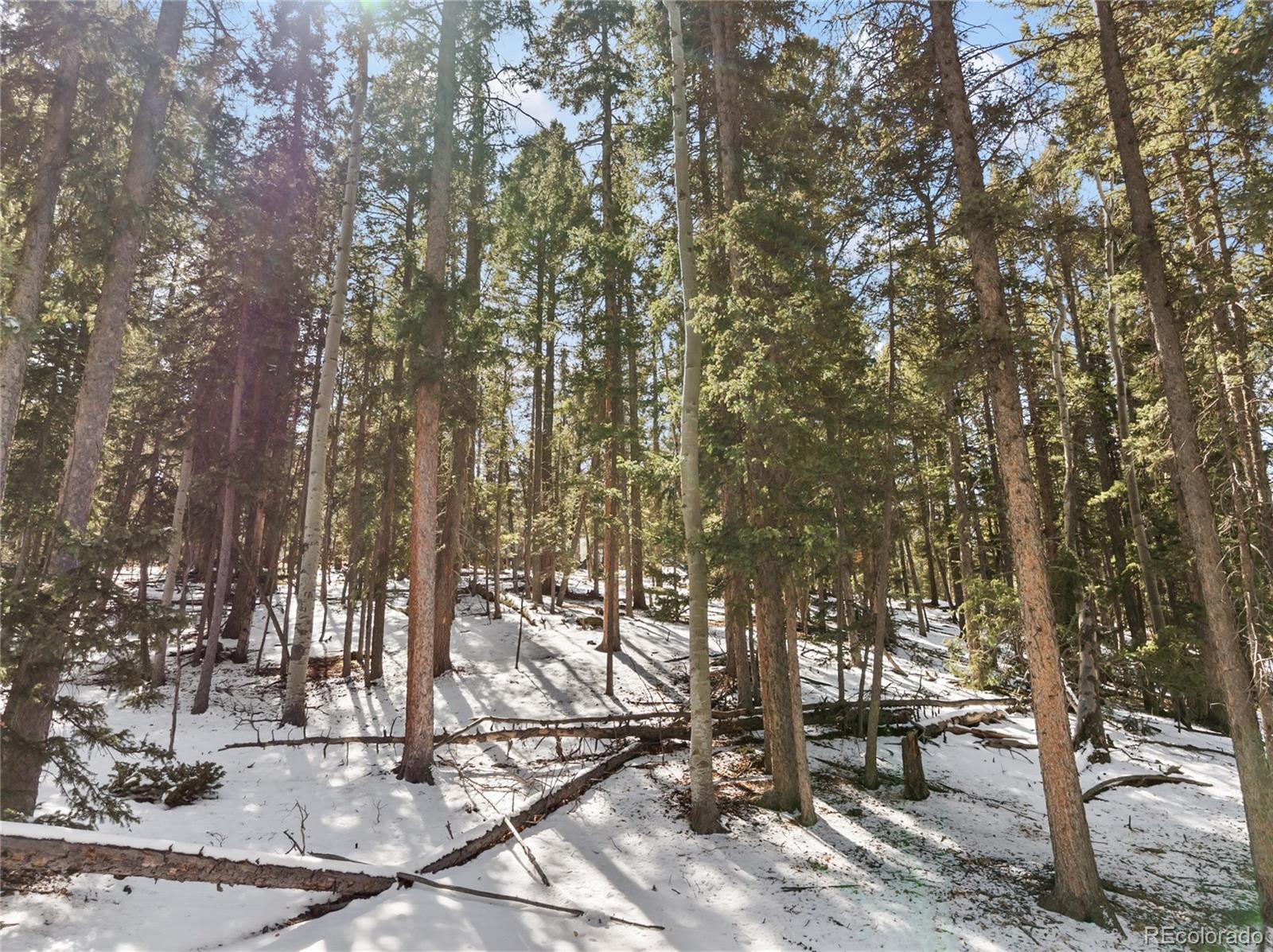 358 Pawutsy Road Florissant CO 80816