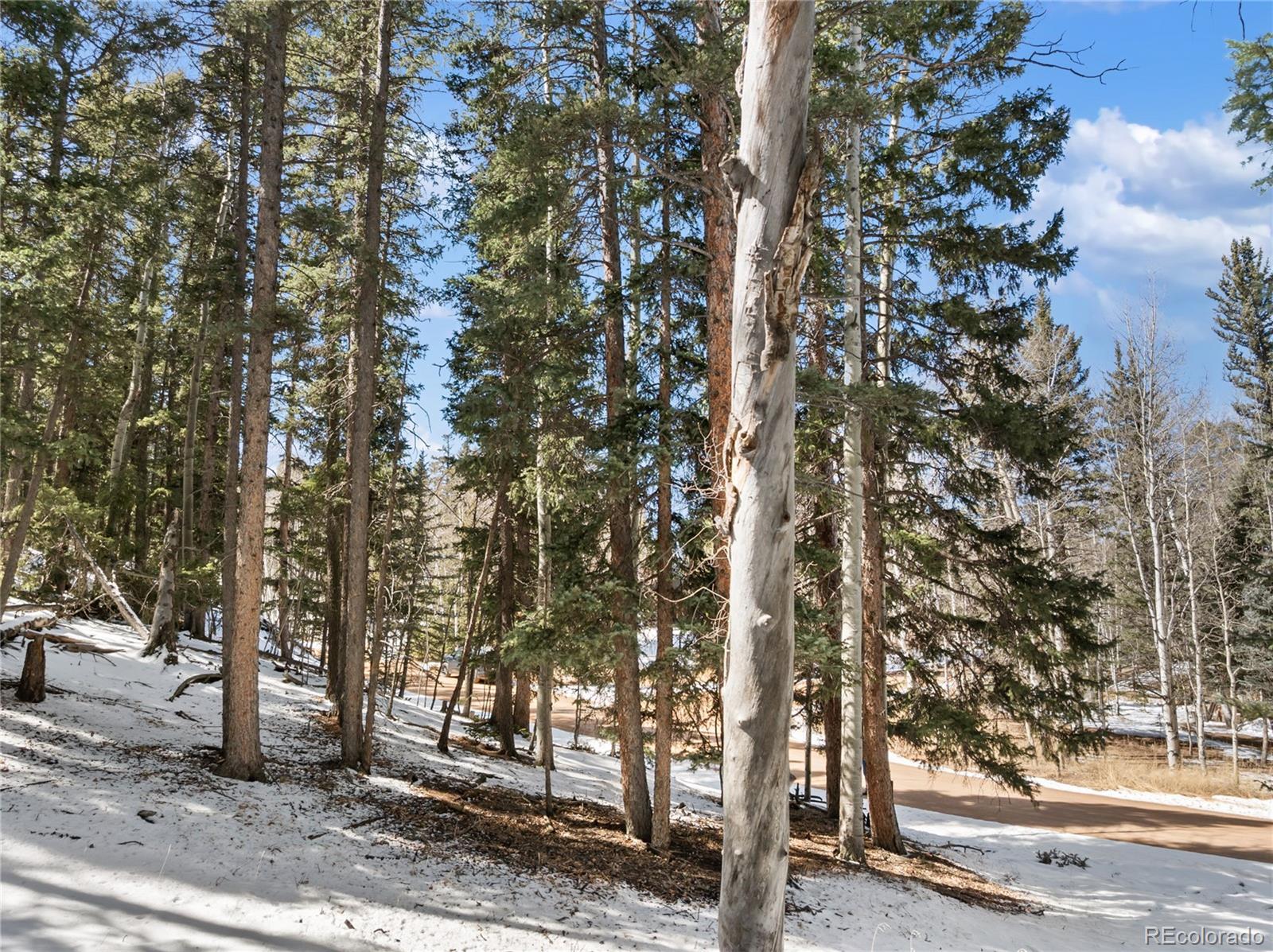 358 Pawutsy Road Florissant CO 80816