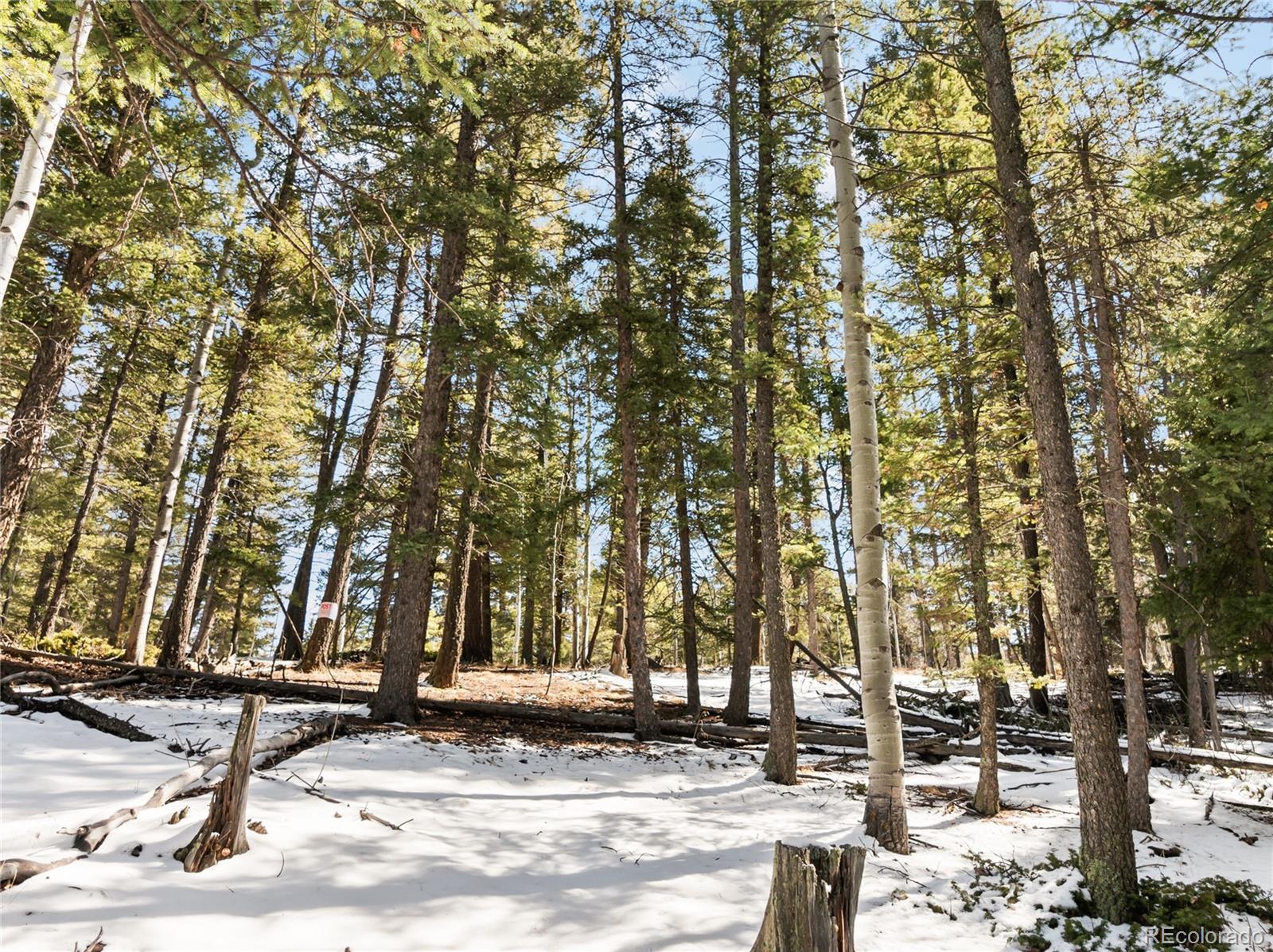 358 Pawutsy Road Florissant CO 80816