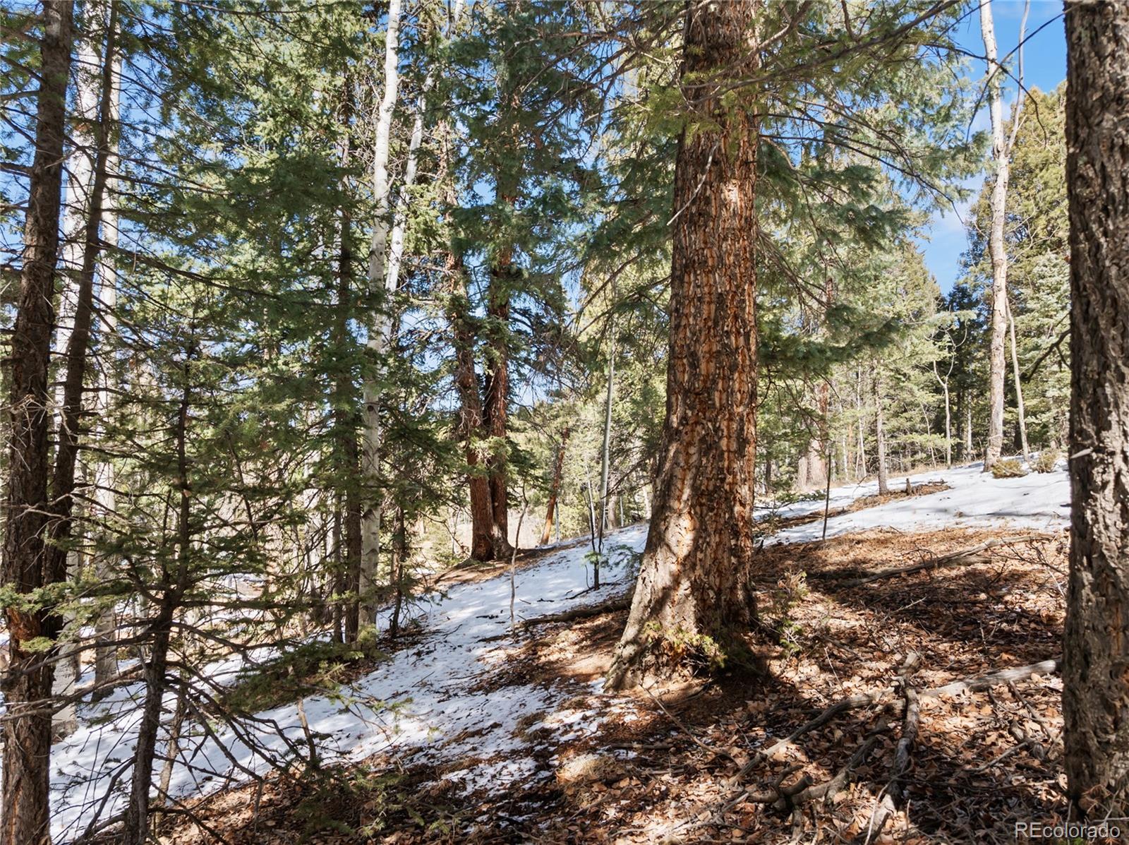 358 Pawutsy Road Florissant CO 80816