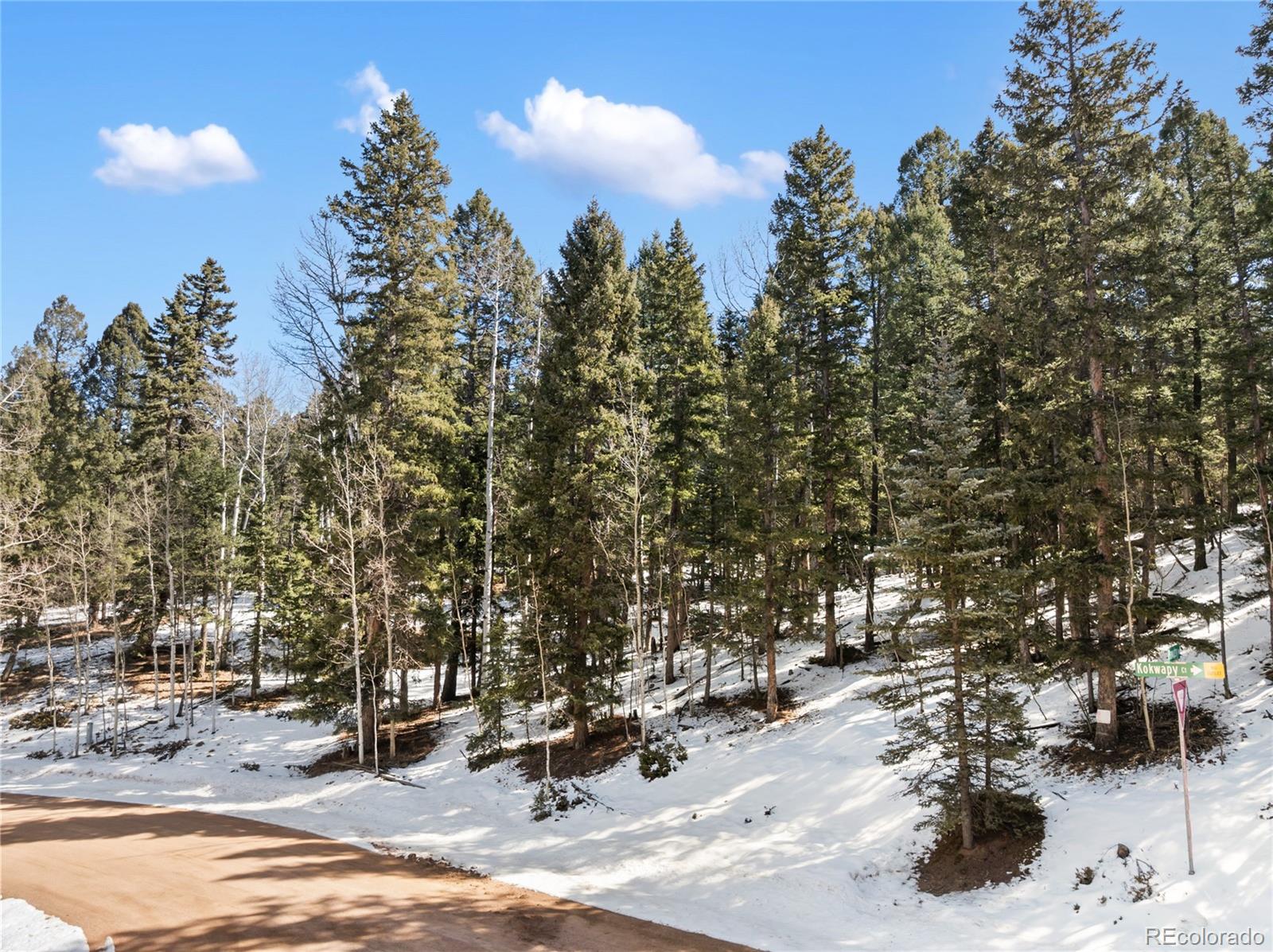 358 Pawutsy Road Florissant CO 80816