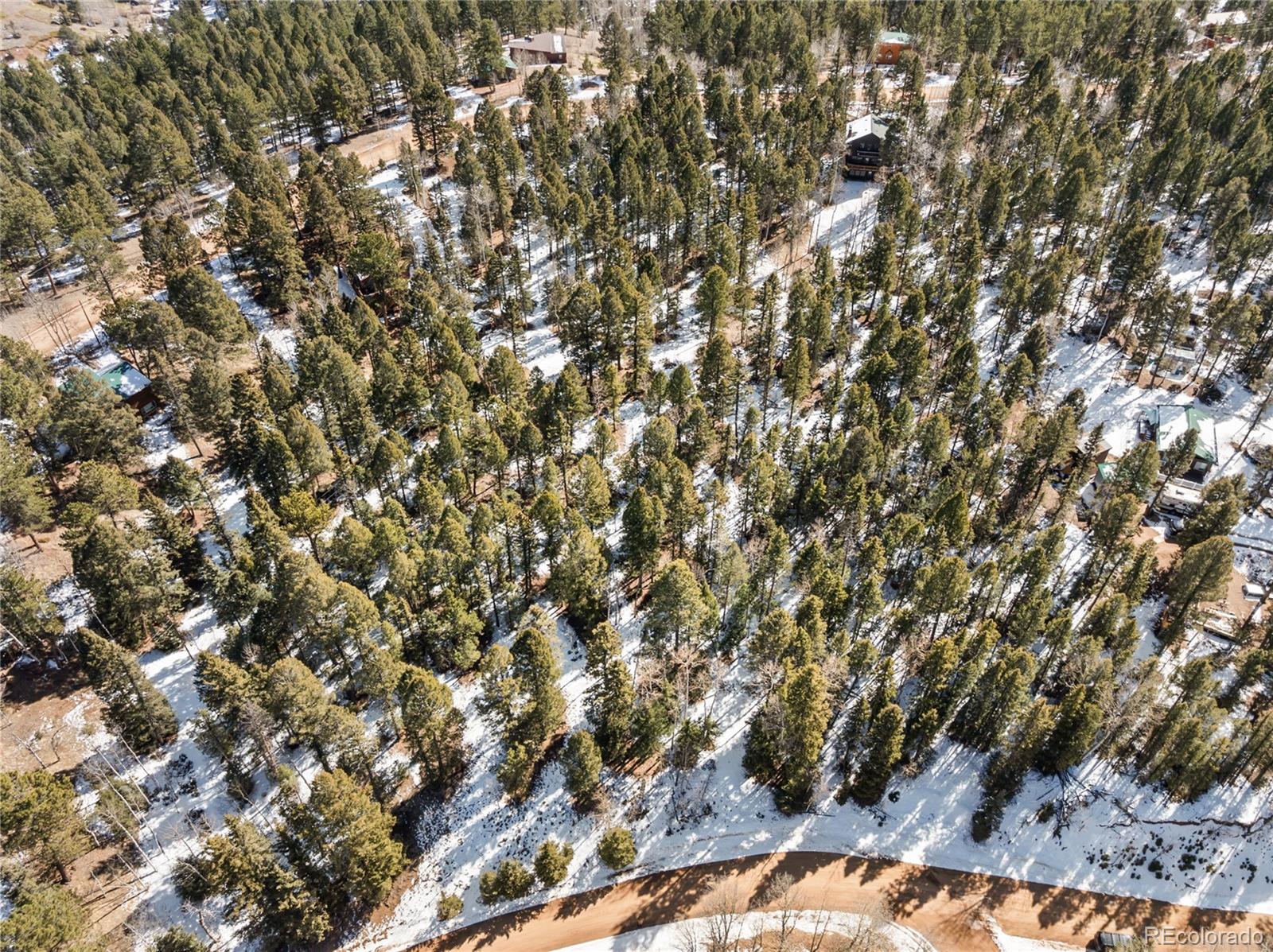 358 Pawutsy Road Florissant CO 80816