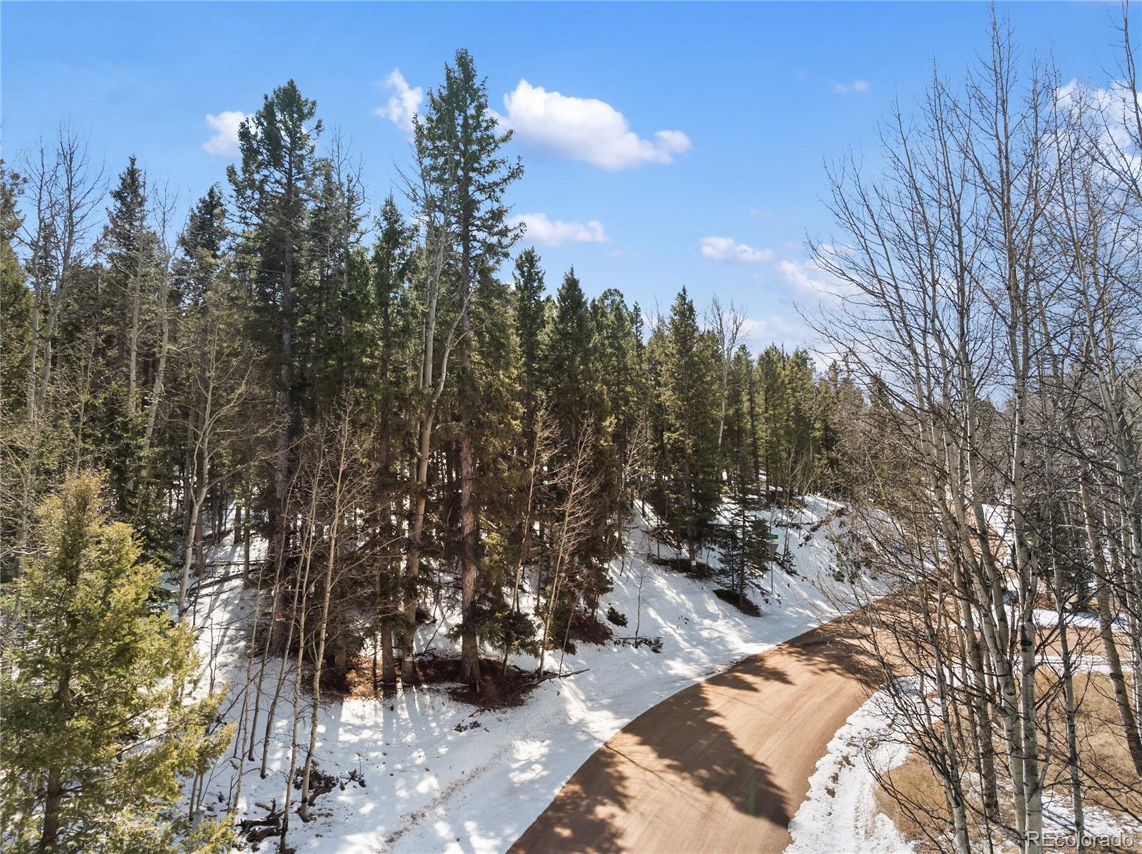 358 Pawutsy Road Florissant CO 80816