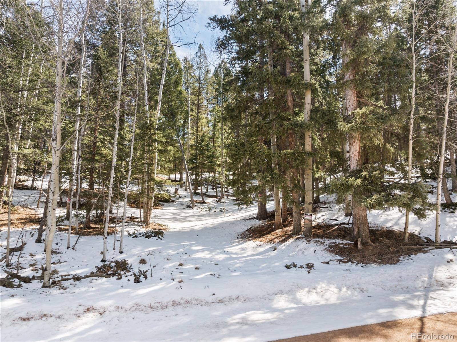 358 Pawutsy Road Florissant CO 80816