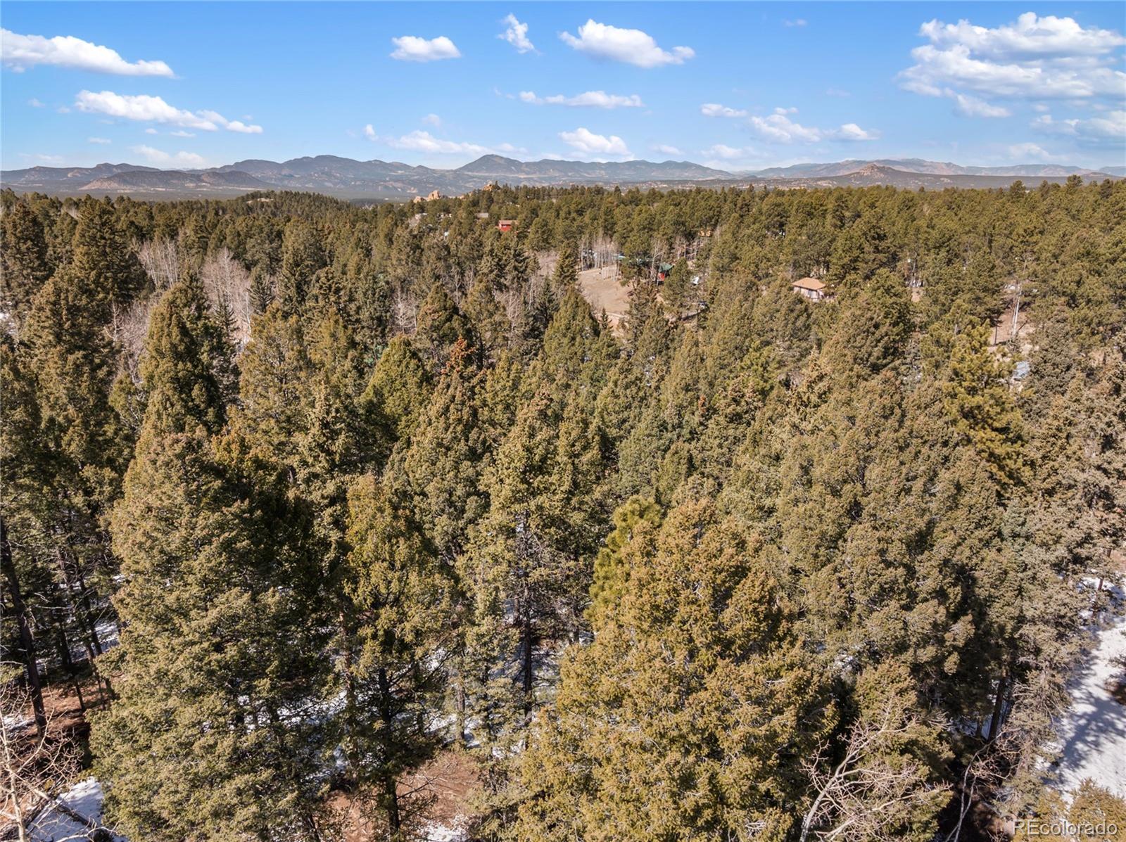 358 Pawutsy Road Florissant CO 80816