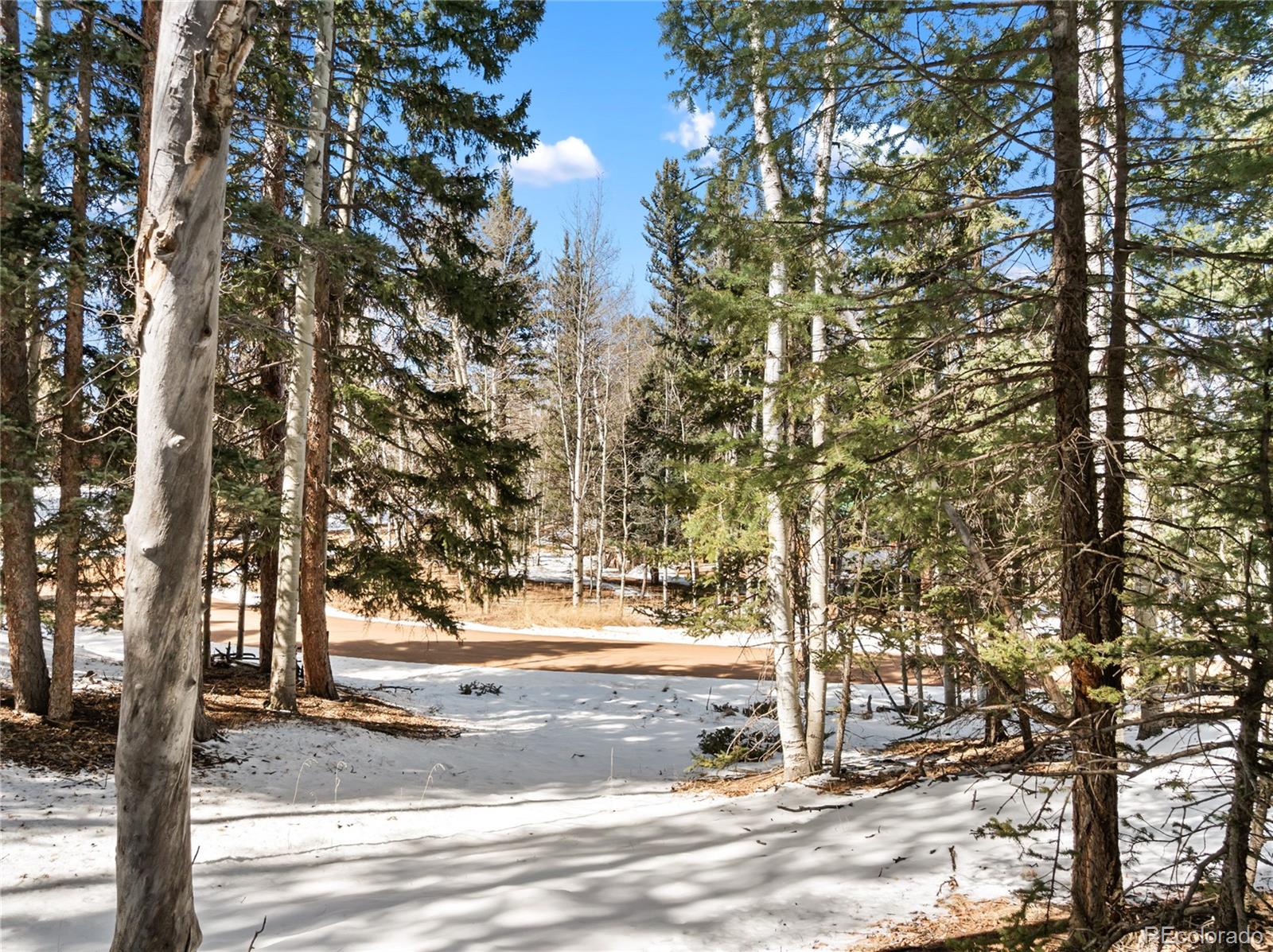 358 Pawutsy Road Florissant CO 80816