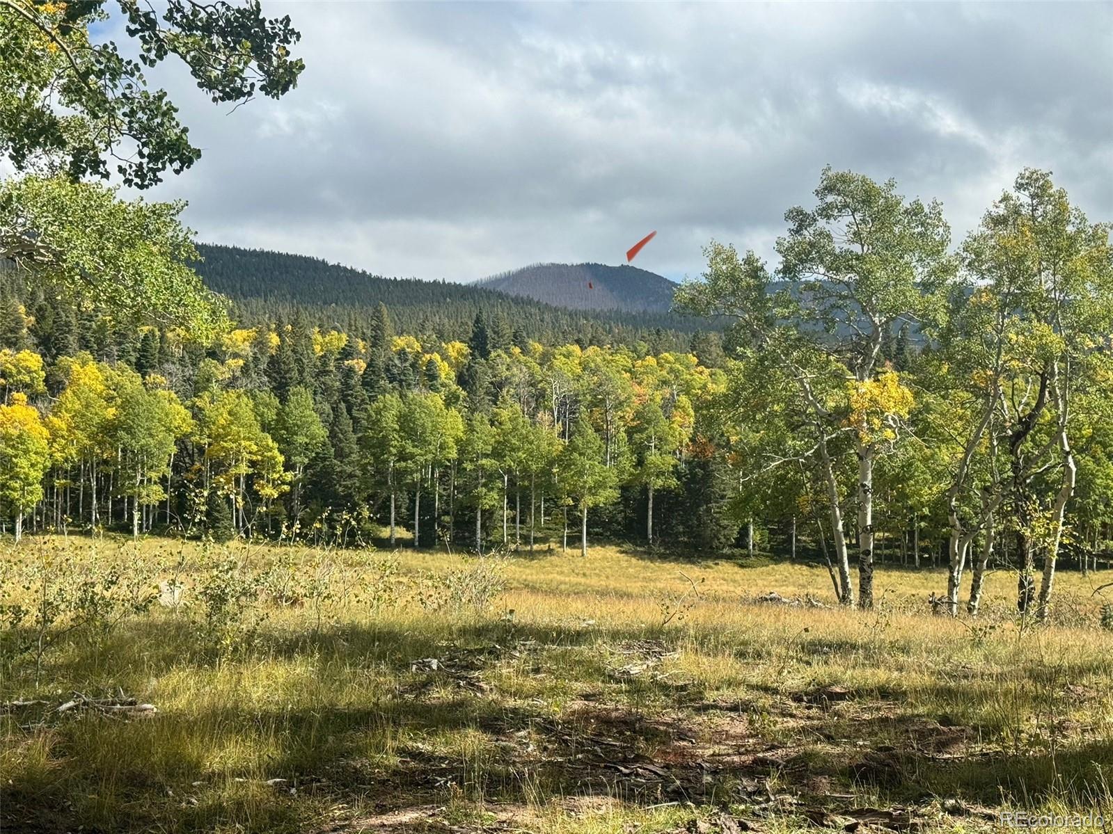 Lot 2843 Wendt Lane Fort Garland CO 81133