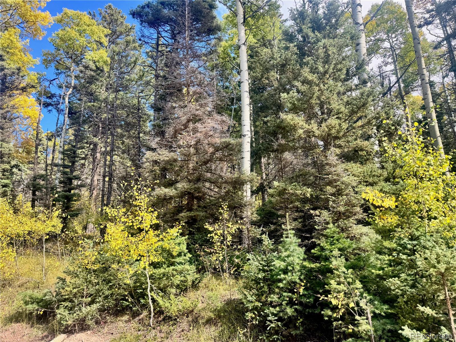 Lot 2843 Wendt Lane Fort Garland CO 81133