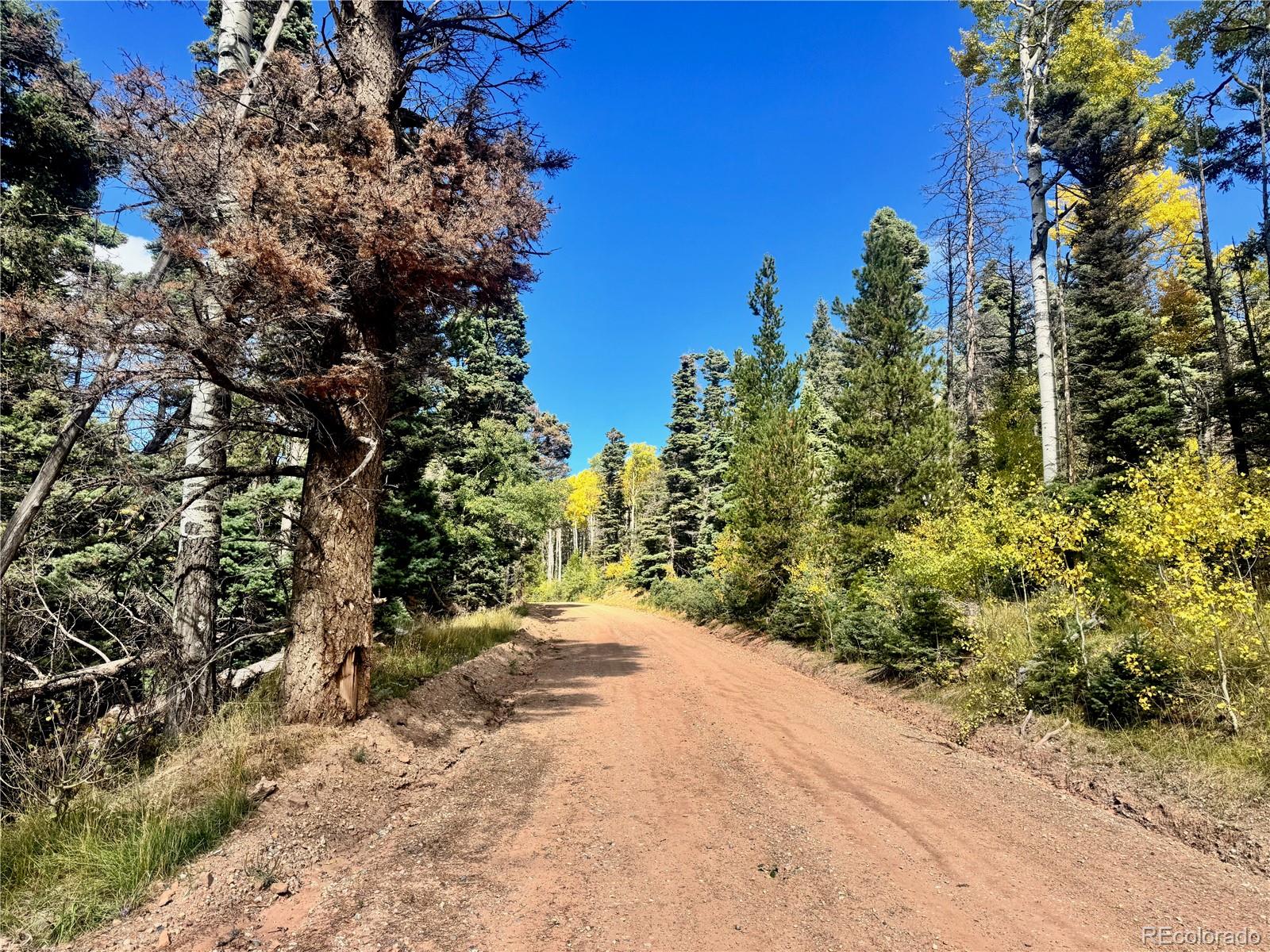 Lot 2843 Wendt Lane Fort Garland CO 81133