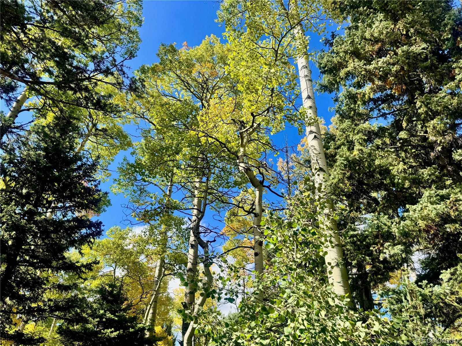 Lot 2843 Wendt Lane Fort Garland CO 81133
