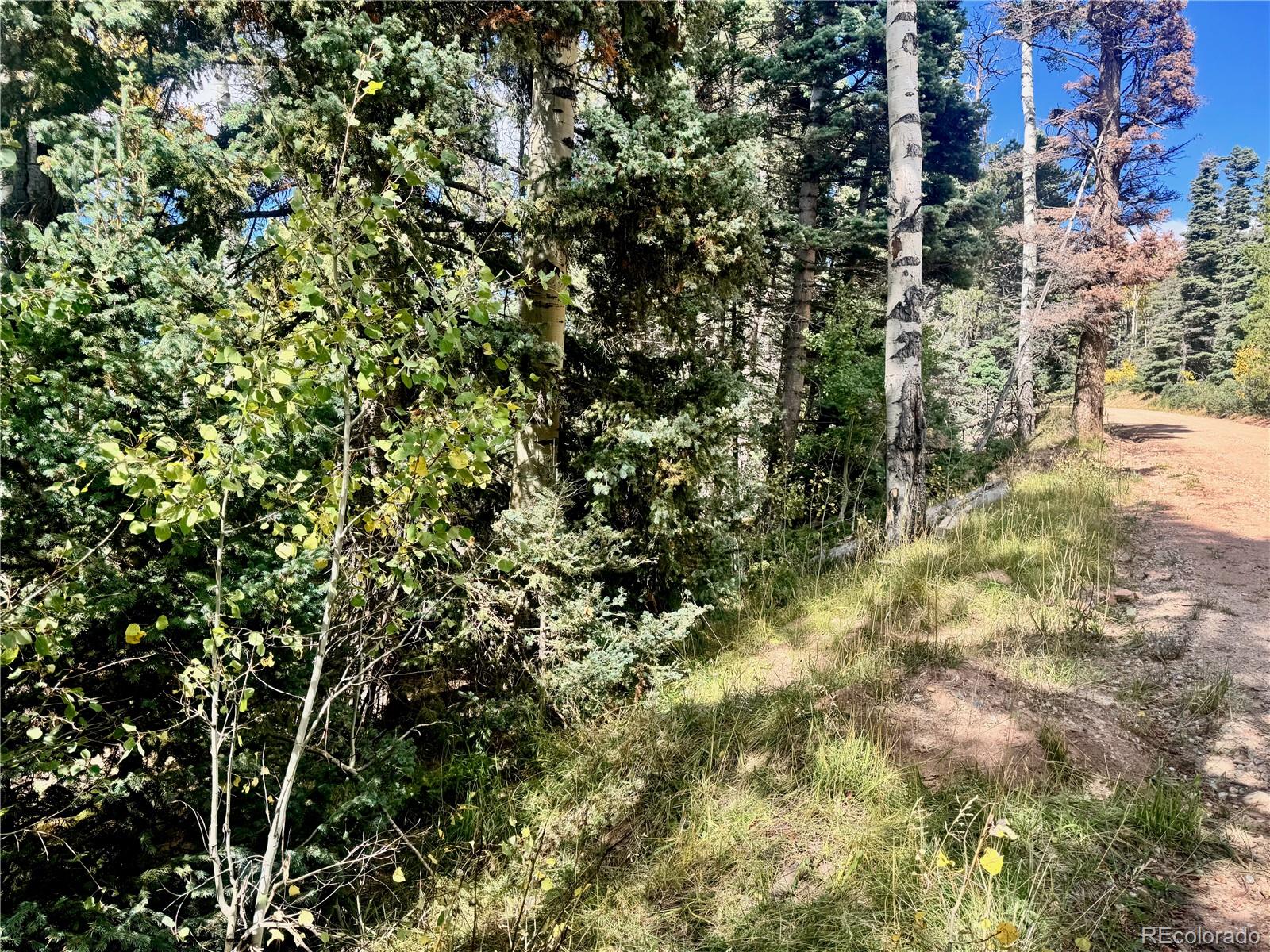 Lot 2843 Wendt Lane Fort Garland CO 81133