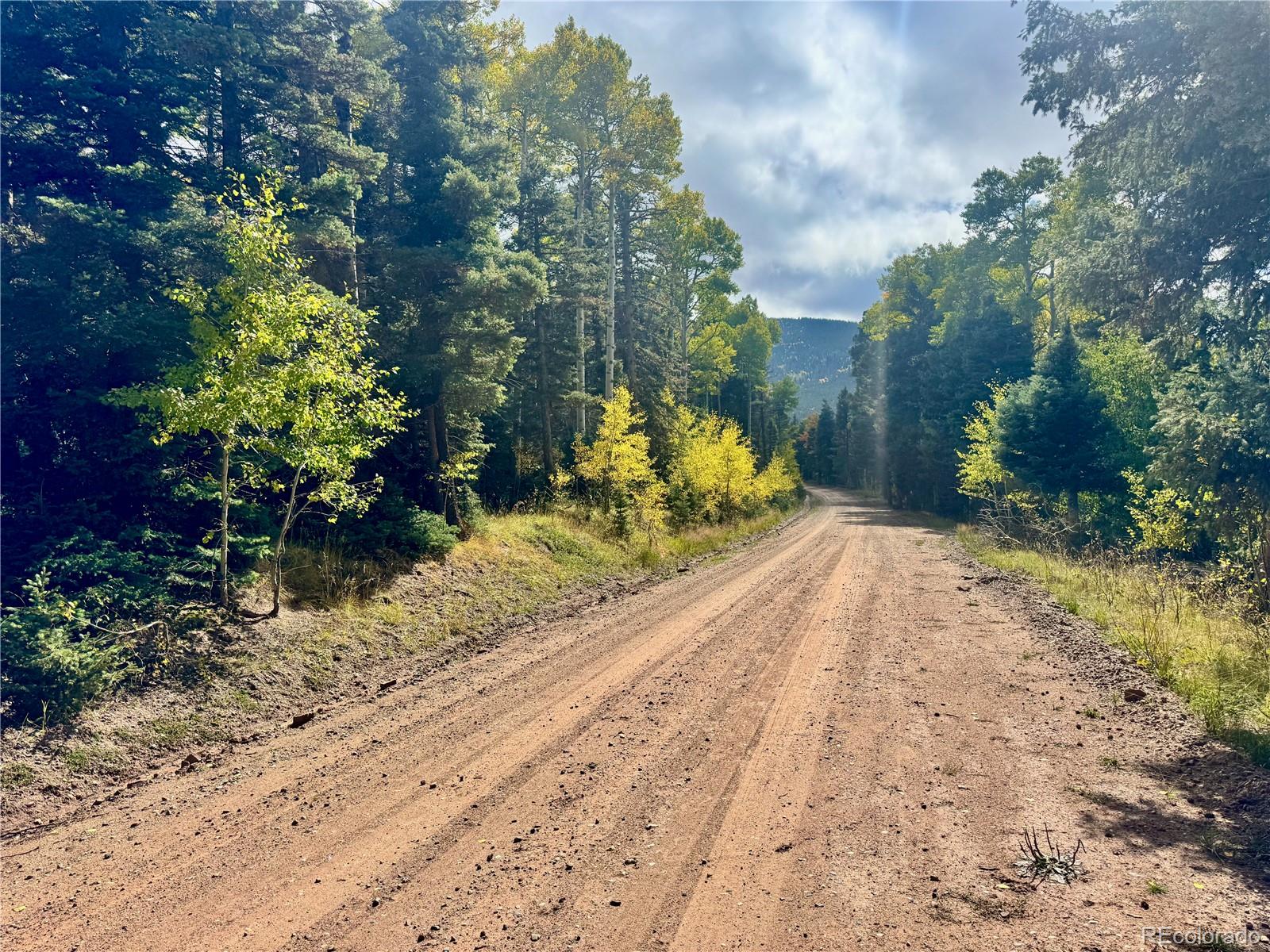 Lot 2843 Wendt Lane Fort Garland CO 81133