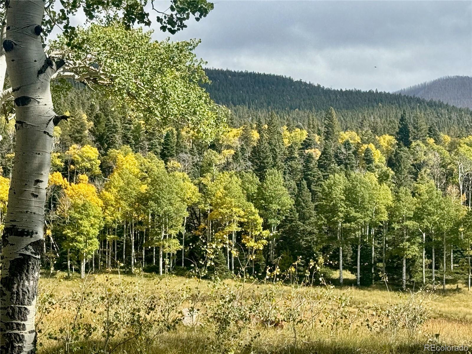 Lot 2843 Wendt Lane Fort Garland CO 81133