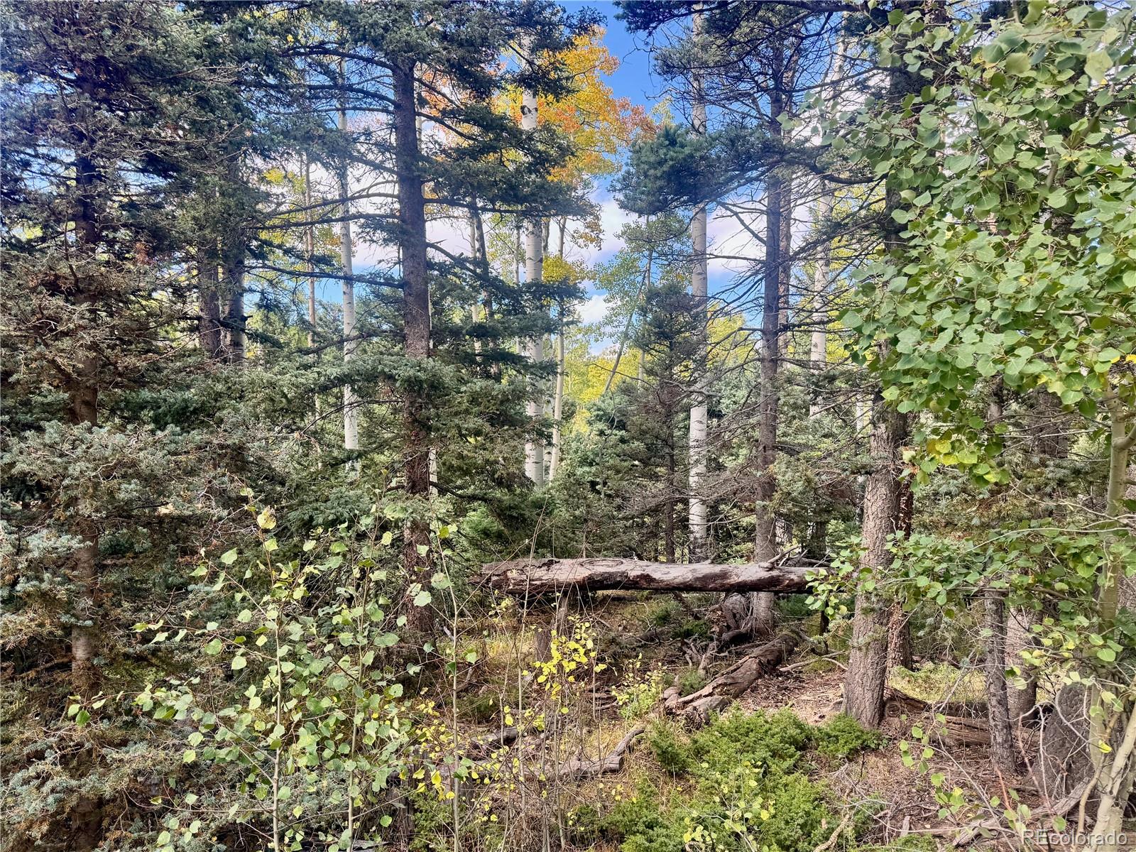 Lot 2843 Wendt Lane Fort Garland CO 81133