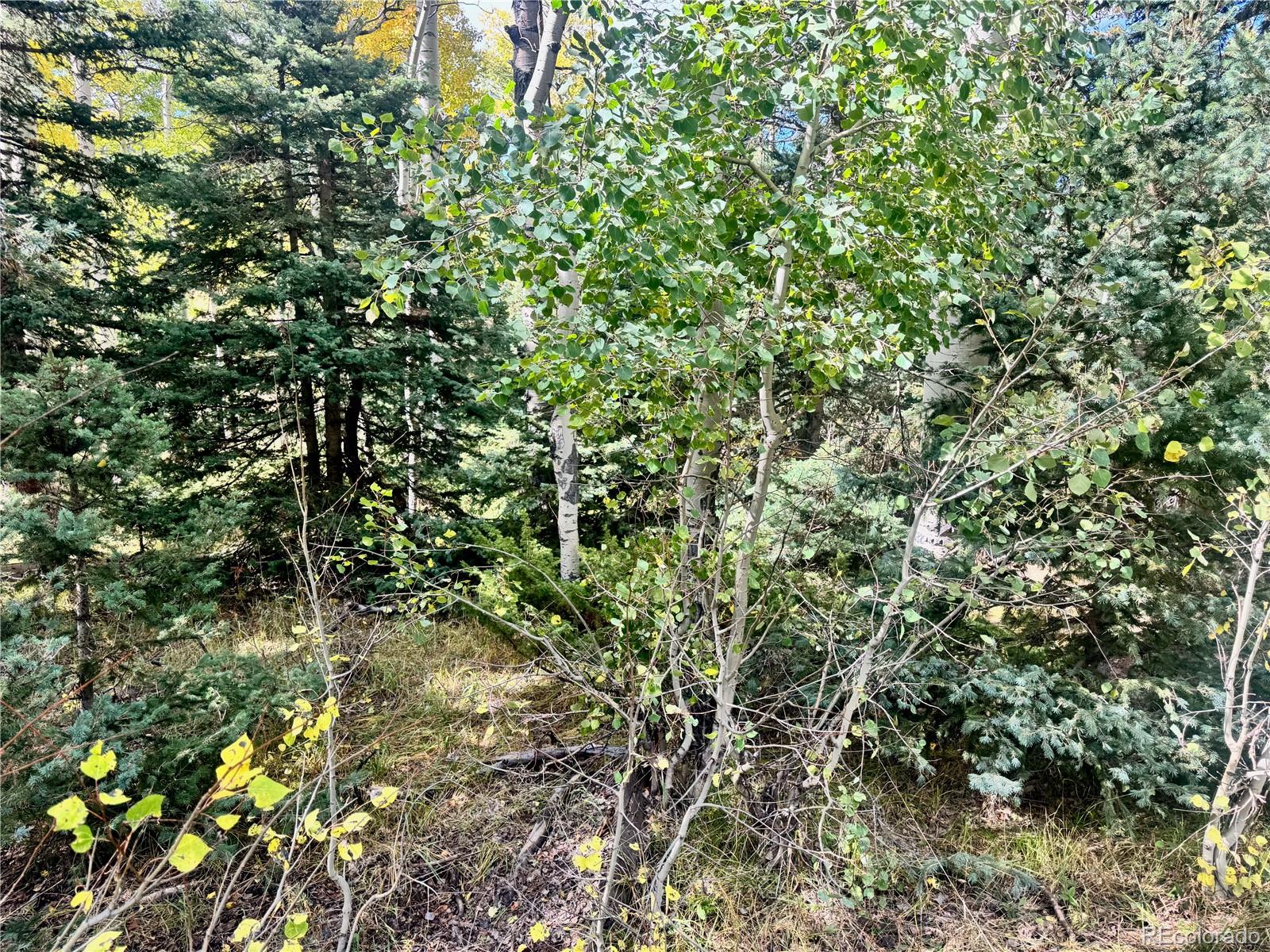 Lot 2843 Wendt Lane Fort Garland CO 81133