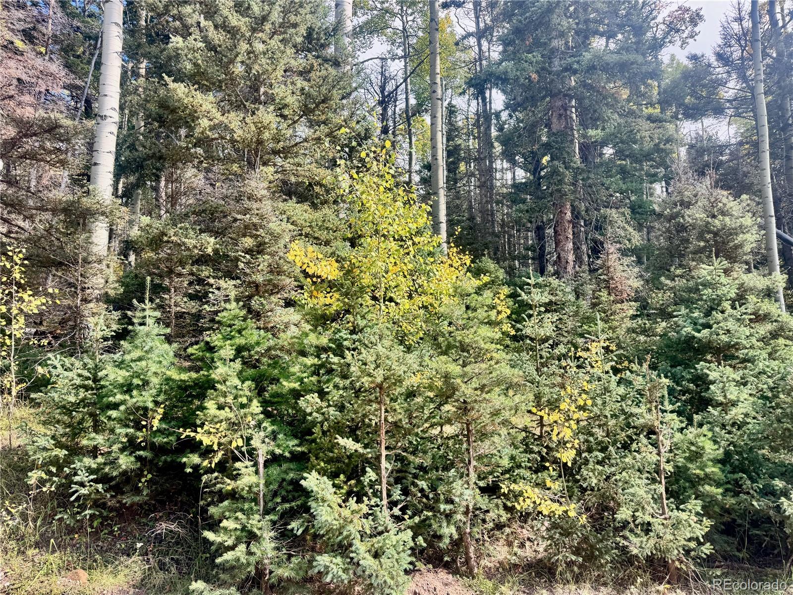 Lot 2843 Wendt Lane Fort Garland CO 81133