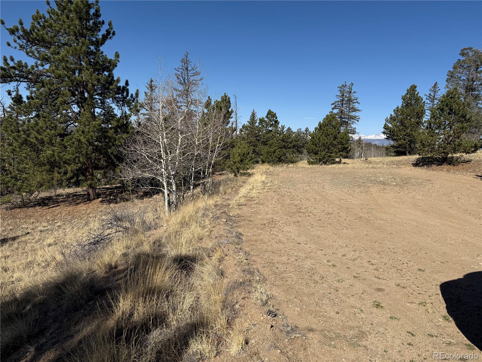 234 Warclub Court Jefferson CO 80456