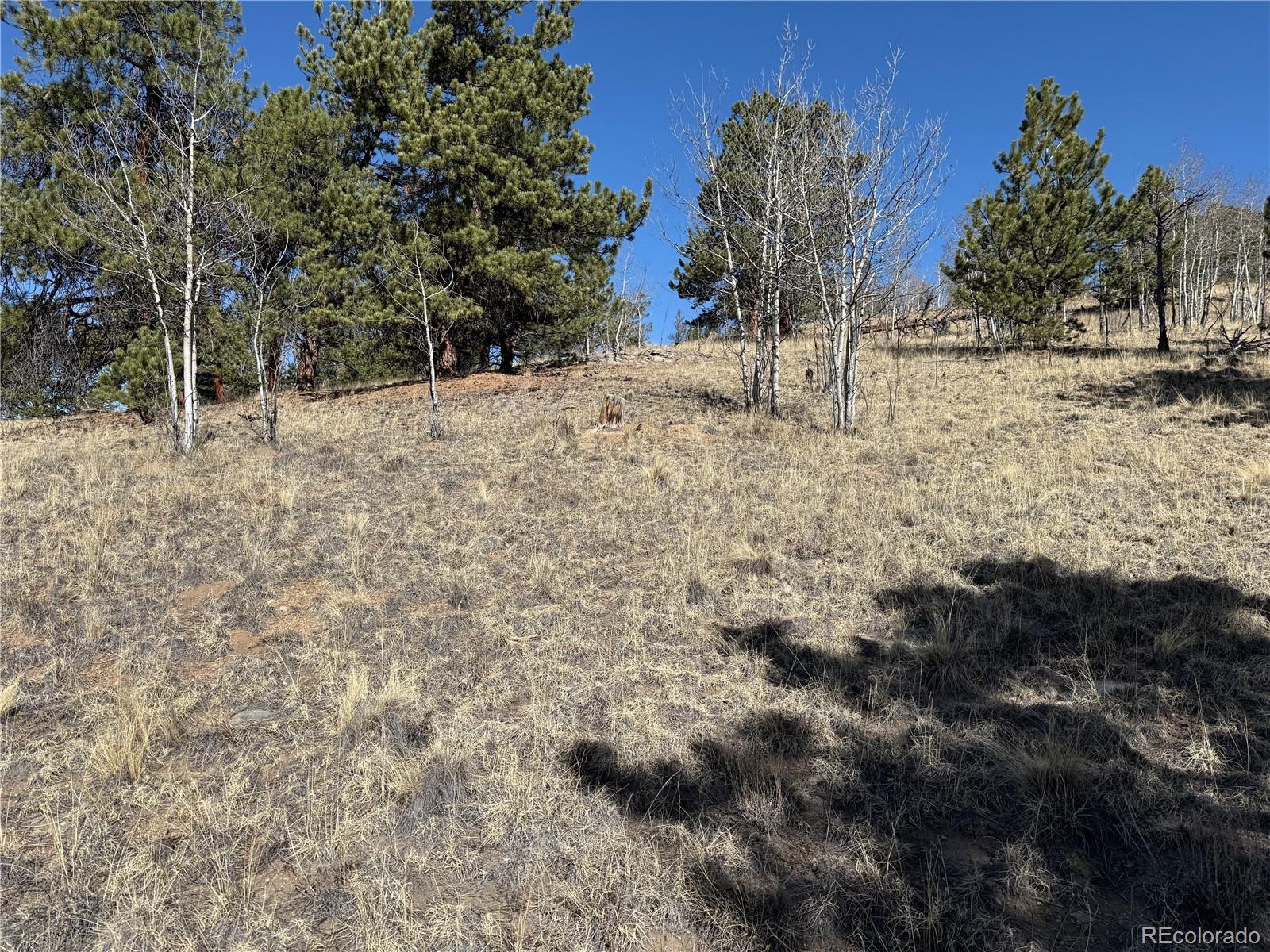234 Warclub Court Jefferson CO 80456