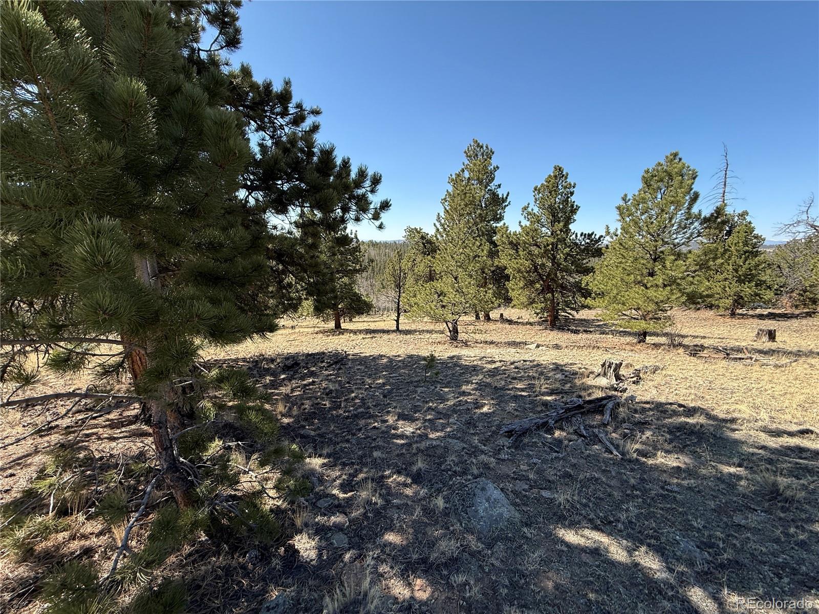 234 Warclub Court Jefferson CO 80456