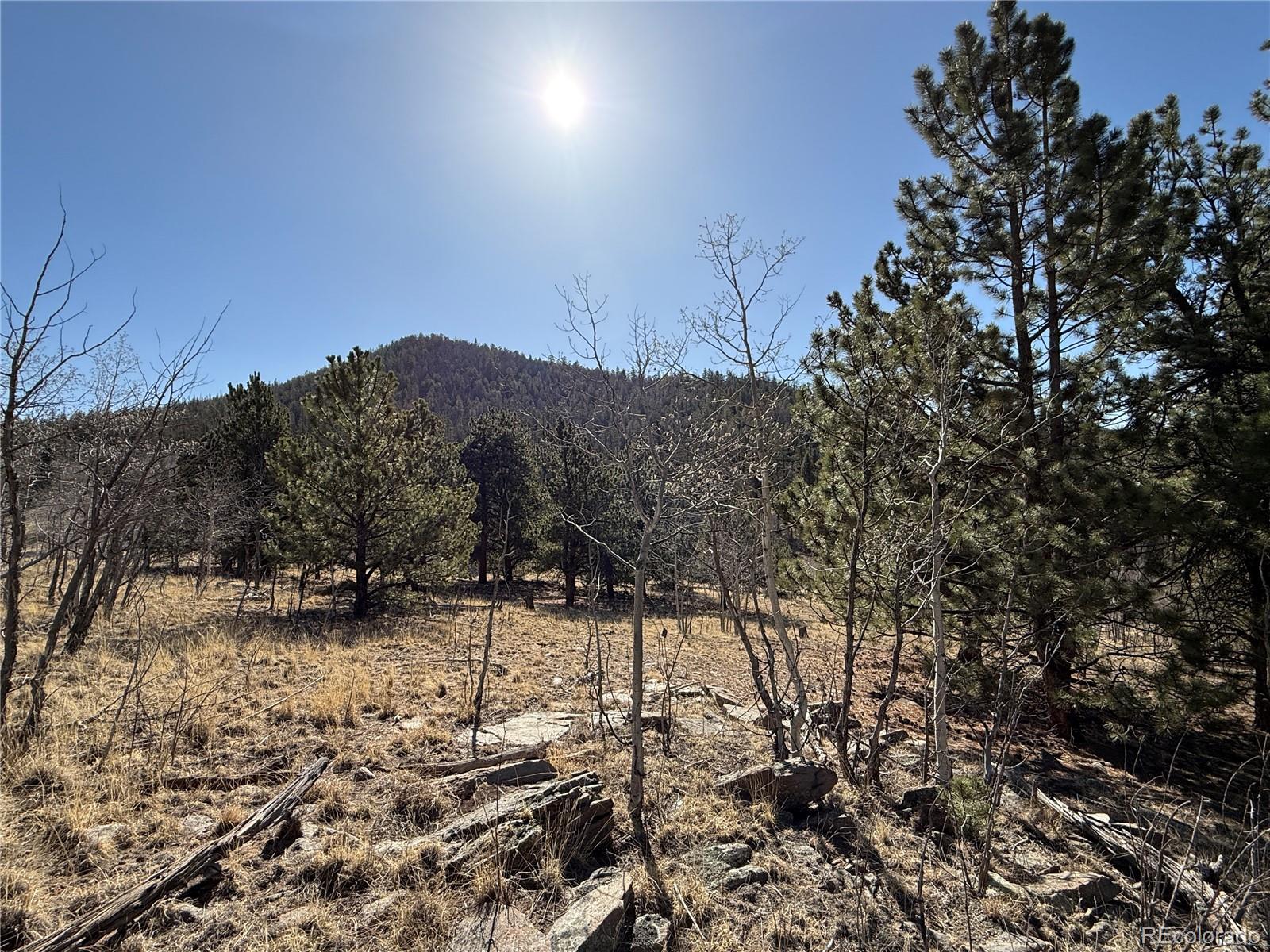 234 Warclub Court Jefferson CO 80456