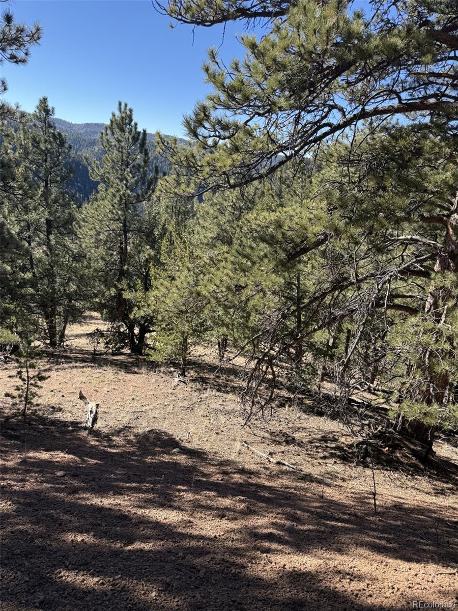 1480 Pikes Peak Drive Divide CO 80814