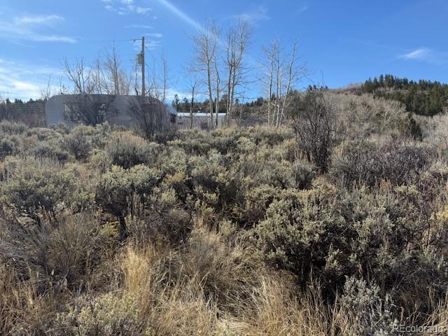 6895 Heeney Road Heeney CO 80498