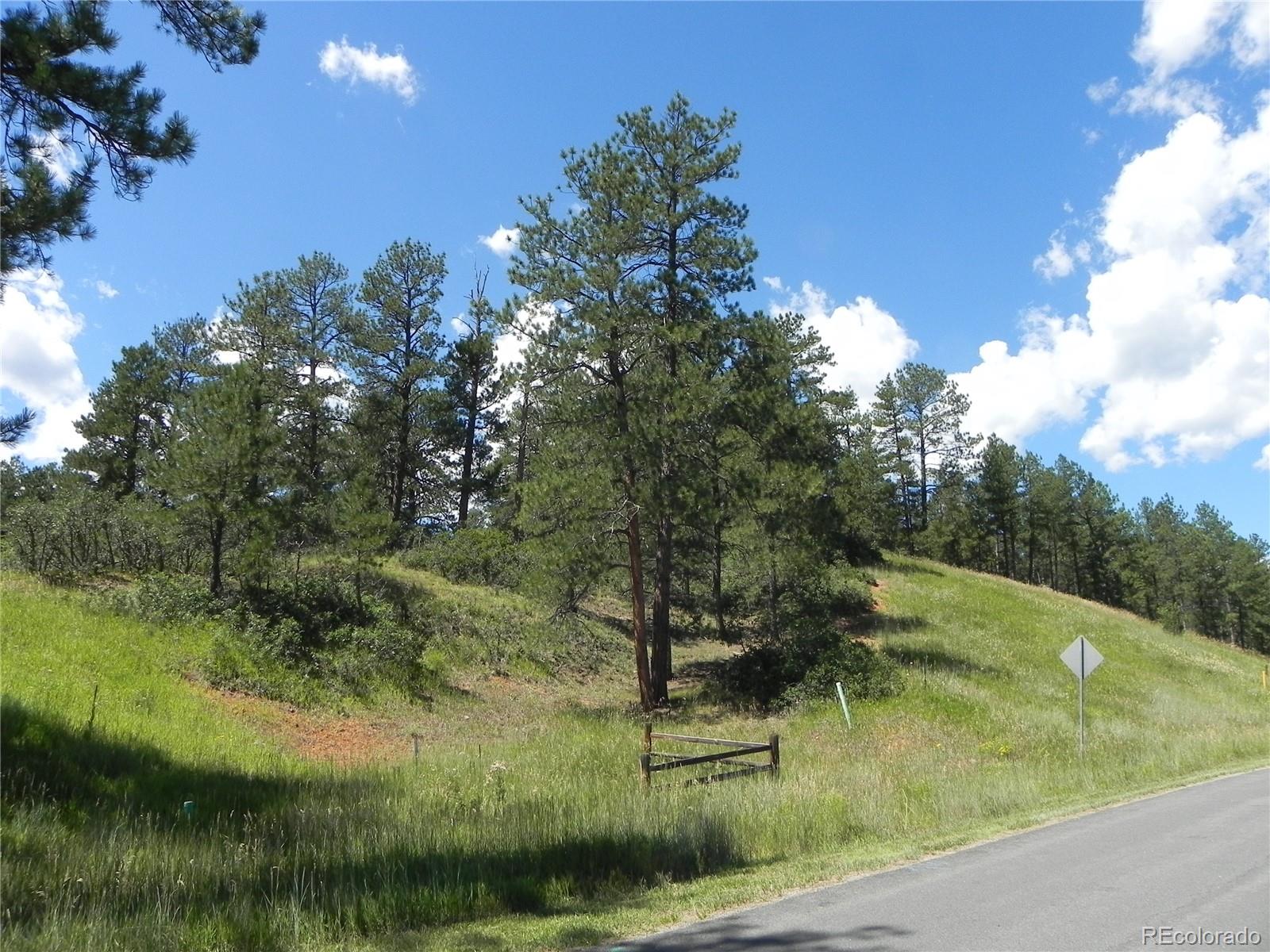 4144 Cheyenne Drive Larkspur CO 80118