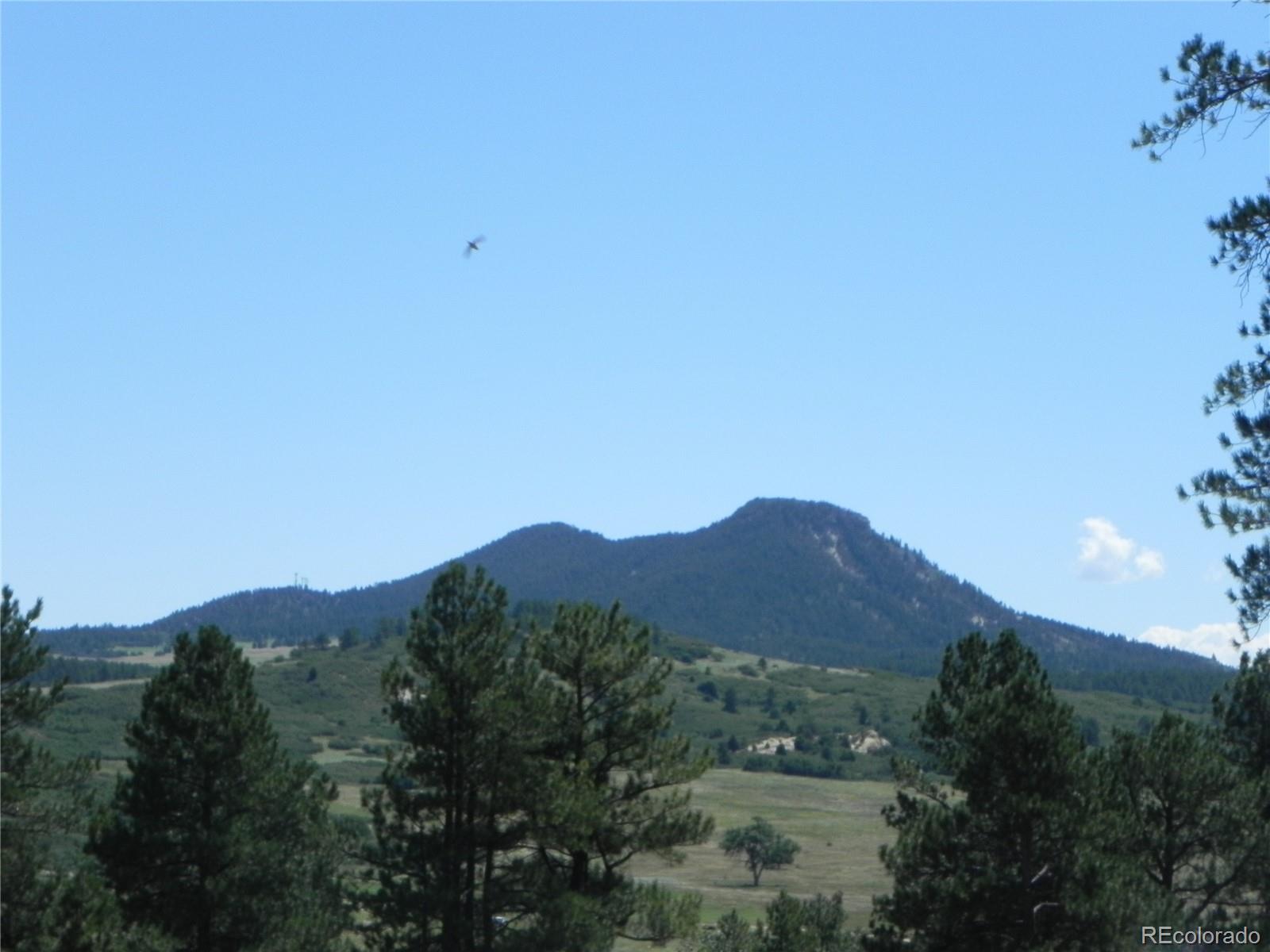 4144 Cheyenne Drive Larkspur CO 80118