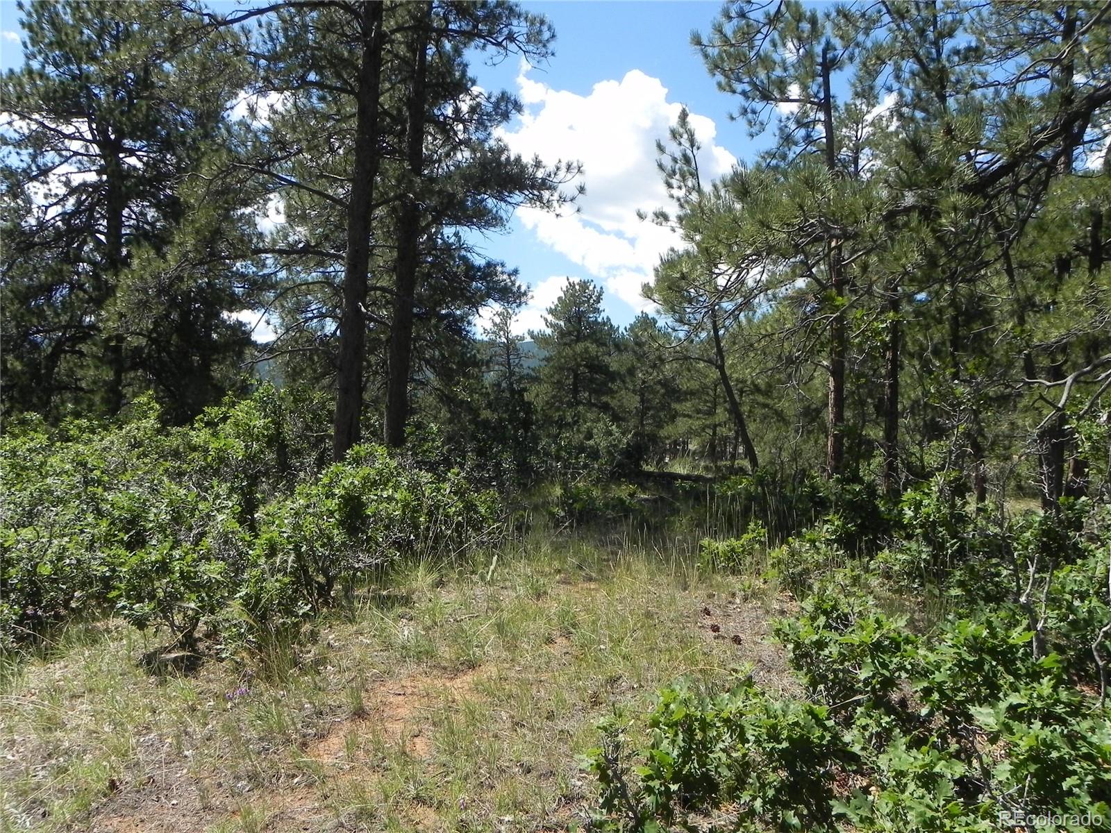 4144 Cheyenne Drive Larkspur CO 80118
