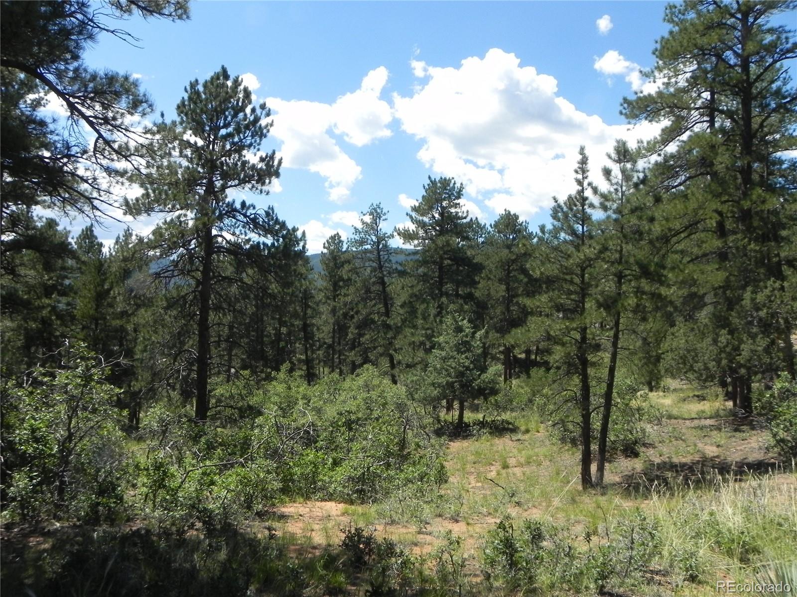 4144 Cheyenne Drive Larkspur CO 80118