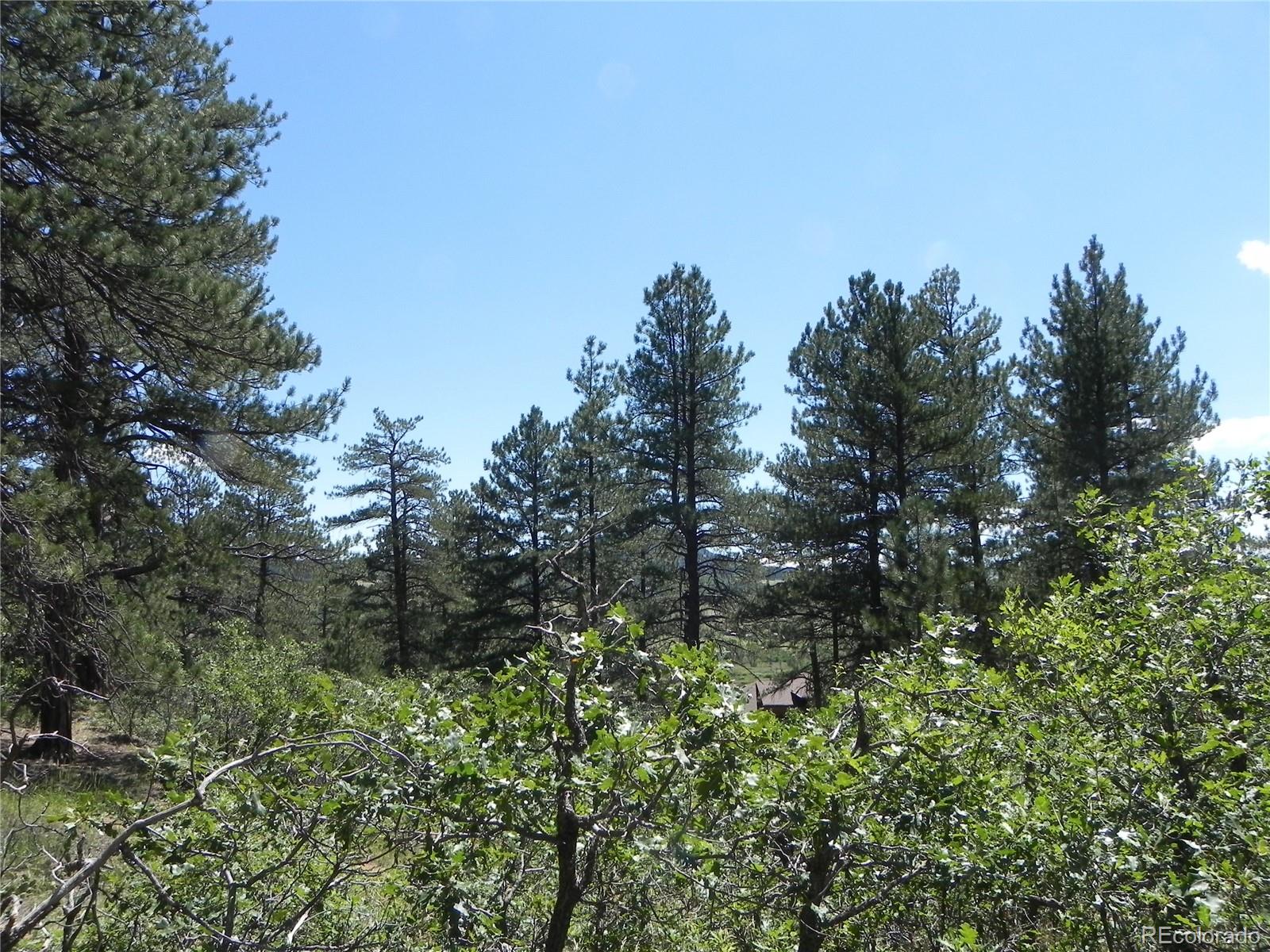 4144 Cheyenne Drive Larkspur CO 80118
