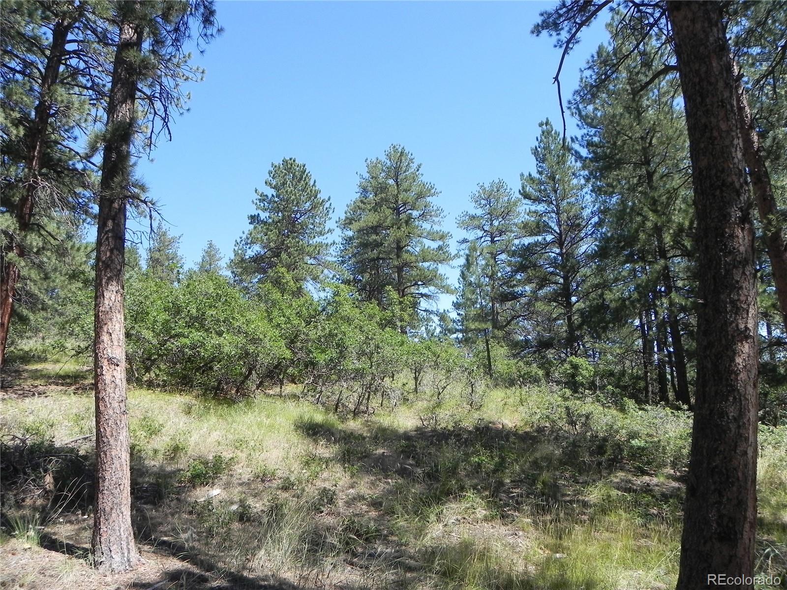 4144 Cheyenne Drive Larkspur CO 80118
