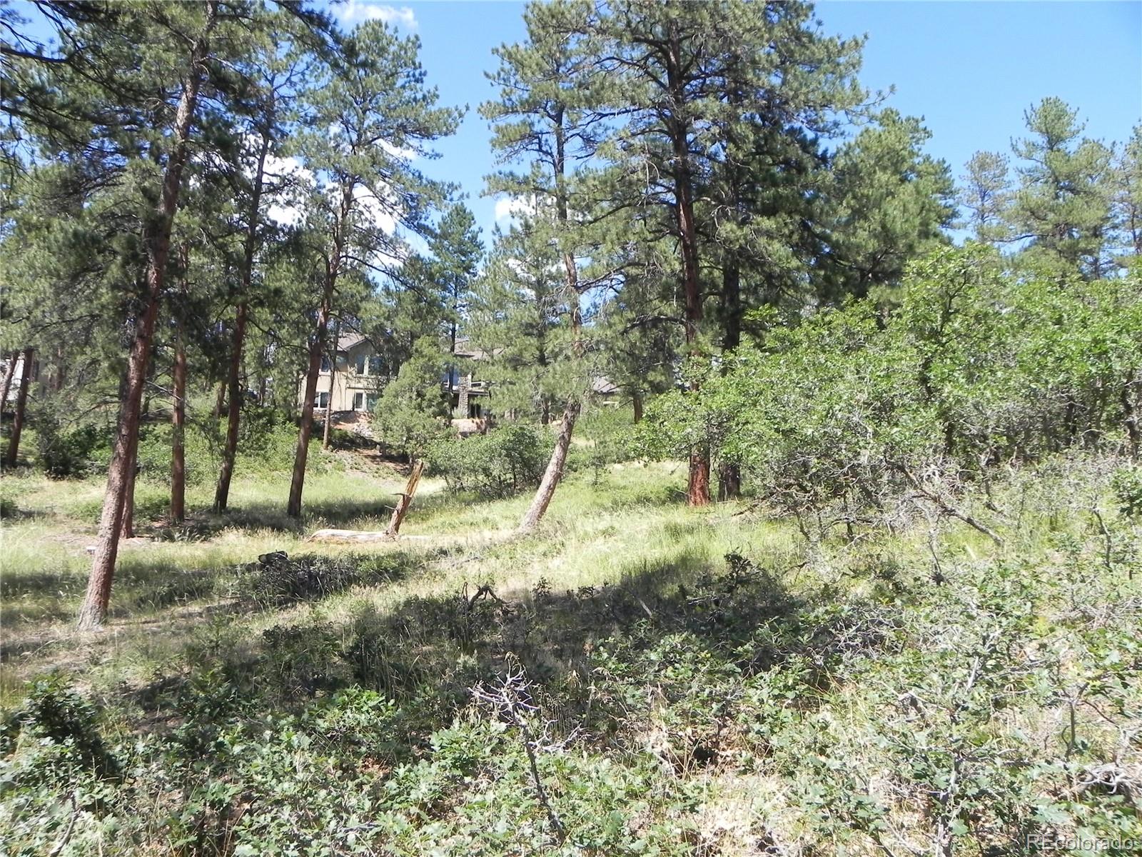 4144 Cheyenne Drive Larkspur CO 80118