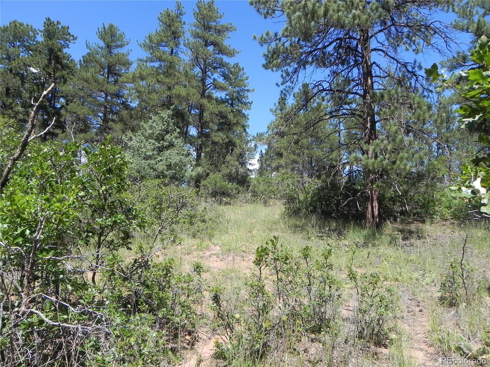 4144 Cheyenne Drive Larkspur CO 80118