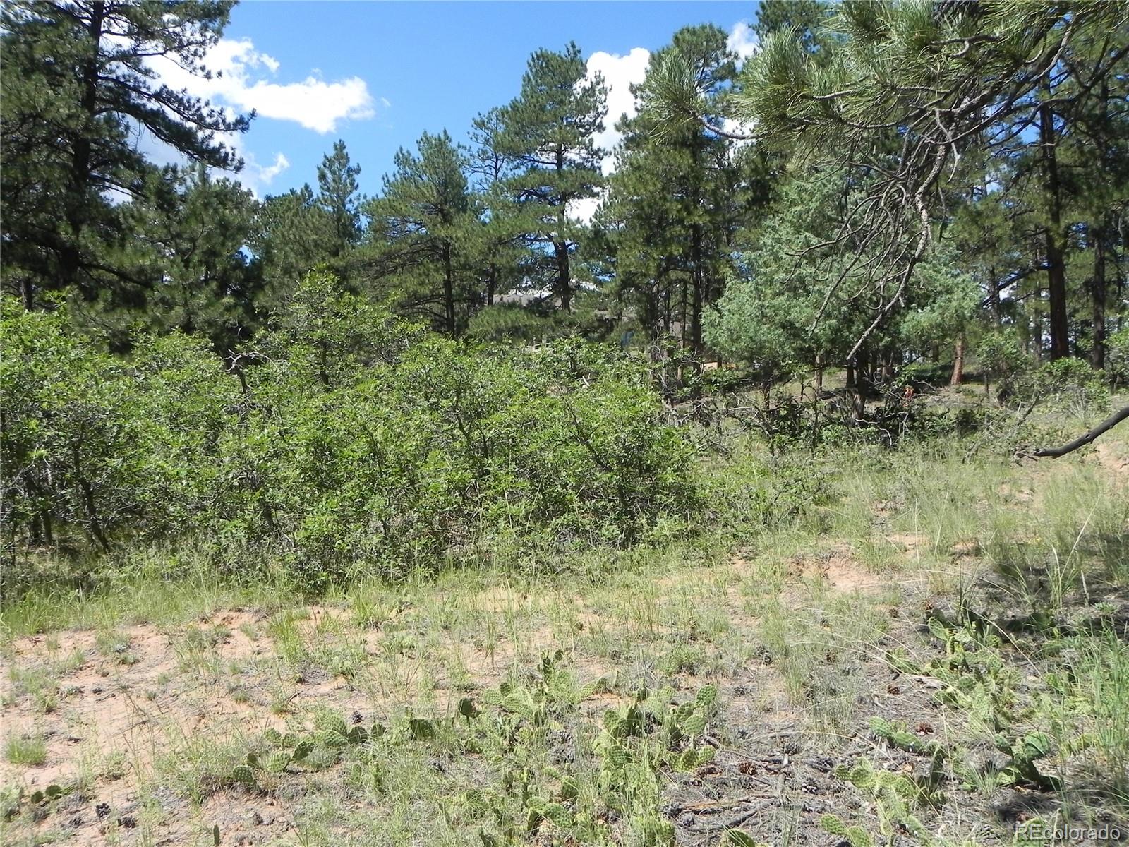 4144 Cheyenne Drive Larkspur CO 80118